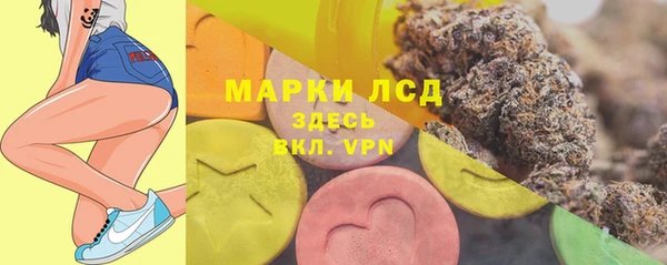 соль ск Строитель