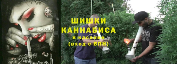 соль ск Строитель