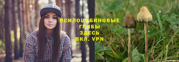 соль ск Строитель